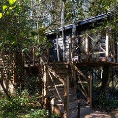 Глэмпинг  В кронах, Московская область