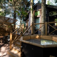 Глэмпинг  В кронах, Московская область