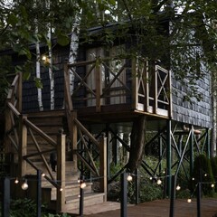 Глэмпинг  В кронах, Московская область