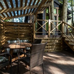 Глэмпинг  В кронах, Московская область