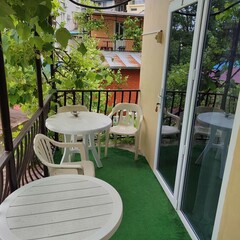 Отель Под пальмой, Краснодарский край