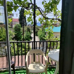 Отель Под пальмой, Краснодарский край