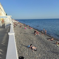 Отель Под пальмой, Краснодарский край