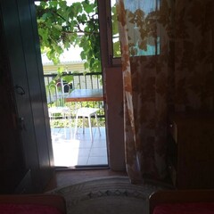Отель Под пальмой, Краснодарский край