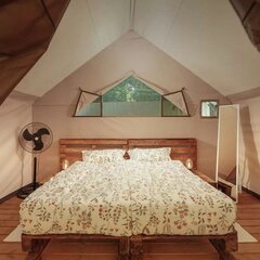 Глэмпинг Южный Вайб Древо, Краснодарский край