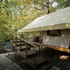 Глэмпинг Южный Вайб Древо, Краснодарский край