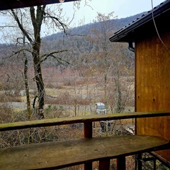 Глэмпинг Южный Вайб Древо, Краснодарский край