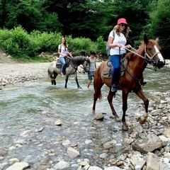 Глэмпинг Южный Вайб Древо, Краснодарский край