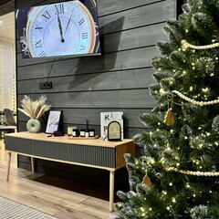 Глэмпинг Sheluha house Дом с камином и панорамными окнами, Московская область