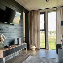 Глэмпинг Sheluha house Дом с камином и панорамными окнами, Московская область