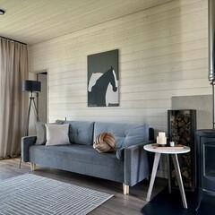 Глэмпинг Sheluha house Дом с камином и панорамными окнами, Московская область