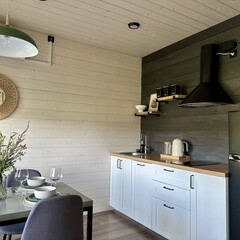 Глэмпинг Sheluha house Дом с камином и панорамными окнами, Московская область