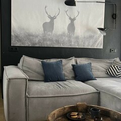 Глэмпинг Sheluha house Дом у леса, Московская область