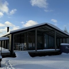 Глэмпинг Sheluha house Дом для уединения с камином около леса, Московская область