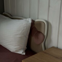 Глэмпинг Sheluha house Барн2 с панорамным видом, Московская область