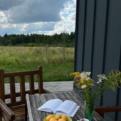 Глэмпинг Sheluha house Барн2 с панорамным видом, Московская область