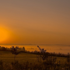 Глэмпинг Sheluha house Барн2 с панорамным видом, Московская область