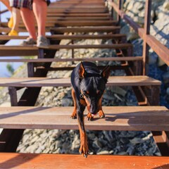 Эко-отель SCALA Kabardinka, Краснодарский край