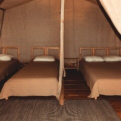 Эко-отель SCALA Kabardinka, Краснодарский край