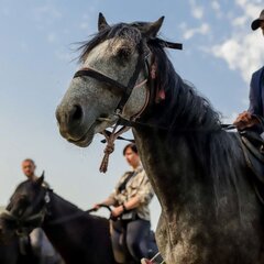 Эко-отель SCALA Kabardinka, Краснодарский край