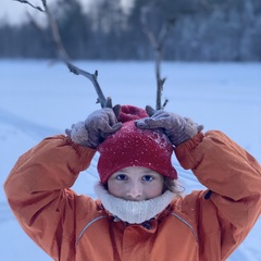 Гостевой дом Дикая Клюква, Республика Карелия