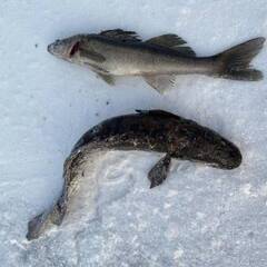 Гостевой дом Дикая Клюква, Республика Карелия