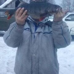 Гостевой дом Дикая Клюква, Республика Карелия