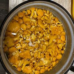 Гостевой дом Дикая Клюква, Республика Карелия