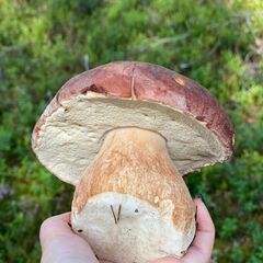 Гостевой дом Дикая Клюква, Республика Карелия