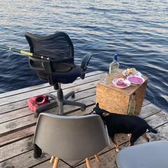 Гостевой дом Дикая Клюква, Республика Карелия