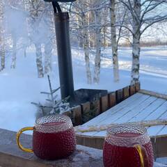 Гостевой дом Дикая Клюква, Республика Карелия