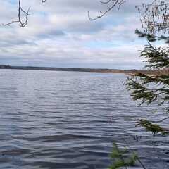 Глэмпинг Eco-Lake , Ленинградская область