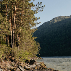 Глэмпинг Алтерия, Республика Алтай