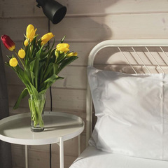 Глэмпинг Алтерия, Республика Алтай