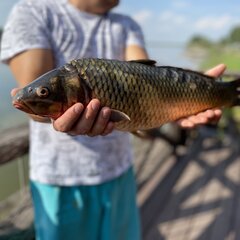 Загородный клуб Атмосфера, Астраханская область