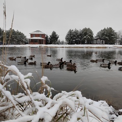 Эко-комплекс Святобор, Брянская область