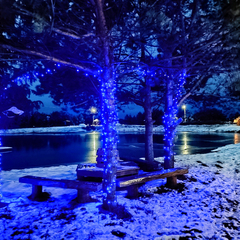 Эко-комплекс Святобор, Брянская область