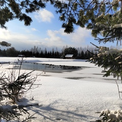 Эко-комплекс Святобор, Брянская область
