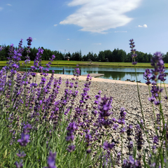 Эко-комплекс Святобор, Брянская область