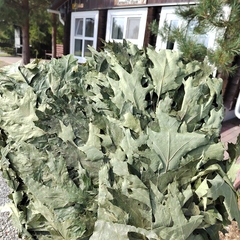 Эко-комплекс Святобор, Брянская область