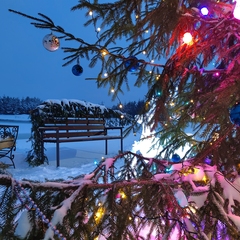 Эко-комплекс Святобор, Брянская область