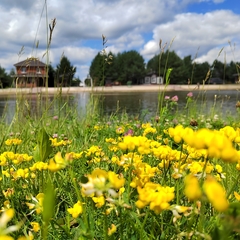 Эко-комплекс Святобор, Брянская область