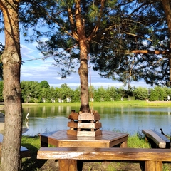 Эко-комплекс Святобор, Брянская область