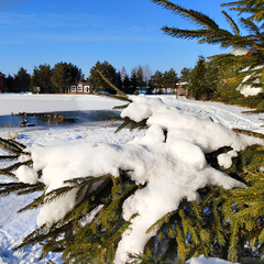 Эко-комплекс Святобор, Брянская область