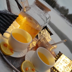 Эко-комплекс Святобор, Брянская область