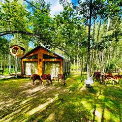 Агротуристический комплекс Оленья ферма Бэмби Лэнд, Московская область