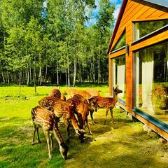 Агротуристический комплекс Оленья ферма Бэмби Лэнд, Московская область