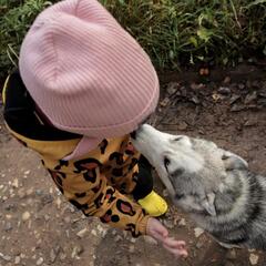 Агротуристический комплекс Оленья ферма Бэмби Лэнд, Московская область