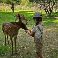Агротуристический комплекс Оленья ферма Бэмби Лэнд, Московская область