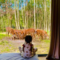Агротуристический комплекс Оленья ферма Бэмби Лэнд, Московская область